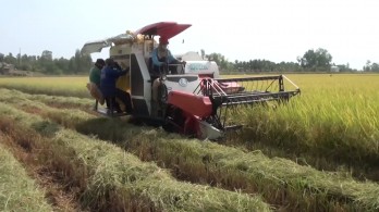Diện mạo đổi mới của nông nghiệp, nông thôn Tân Hưng