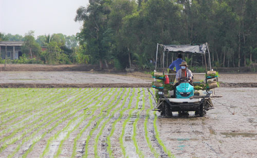Đam Rông chuẩn bị xuống giống hơn 1.000 ha lúa vụ Hè - Thu năm 2022