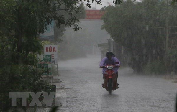 Ảnh minh họa. (Nguồn: TTXVN)