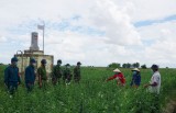 An dân giữ đất biên cương