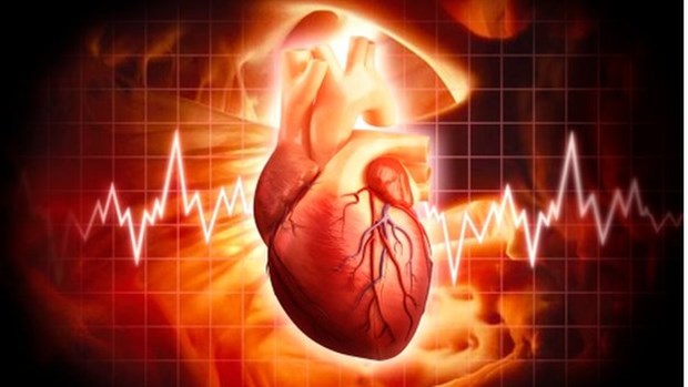 Mô tim được in 3D có thể duy trì nhịp đập hơn 6 tháng trong ống nghiệm Ảnh minh họa. (Nguồn: manchester.ac.uk)