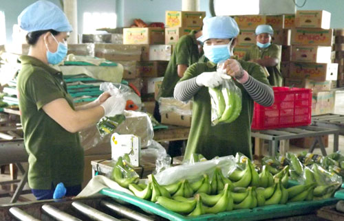 Long An: Hỗ trợ doanh nghiệp xây dựng và phát triển thương hiệu
