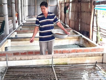 Tân Thành chuyển đổi cây trồng, vật nuôi mang lại hiệu quả Tân Thành chuyển đổi cây trồng, vật nuôi mang lại hiệu quả