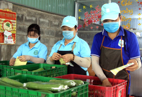 Thủ Thừa: Phát triển nông nghiệp ứng dụng công nghệ cao