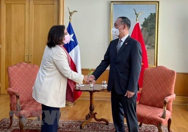 Bộ trưởng Antonia Urrejola Noguera tiếp Đại sứ Phạm Trường Giang. (Ảnh: TTXVN phát)