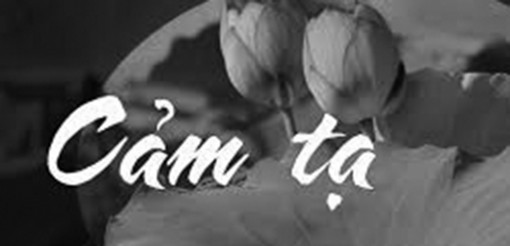 Cảm tạ Cảm tạ