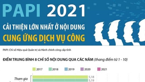 PAPI 2021: Cải thiện lớn nhất ở nội dung Cung ứng dịch vụ công