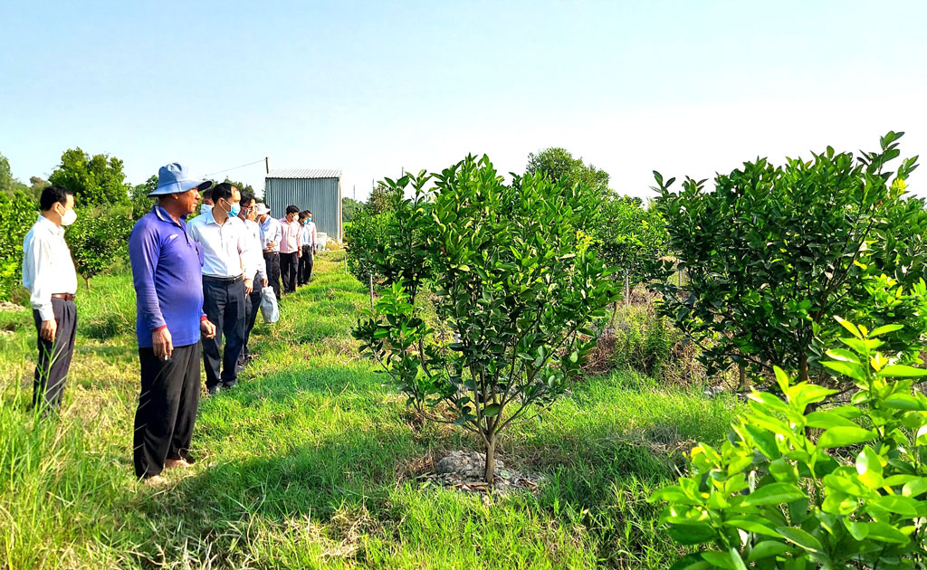 Kiến Tường phục hồi kinh tế, tạo đà phát triển