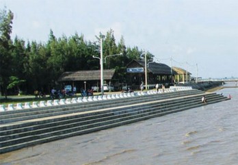 Lục bình dày đặc trên sông, ảnh hưởng giao thông đường thủy tại Tiền Giang