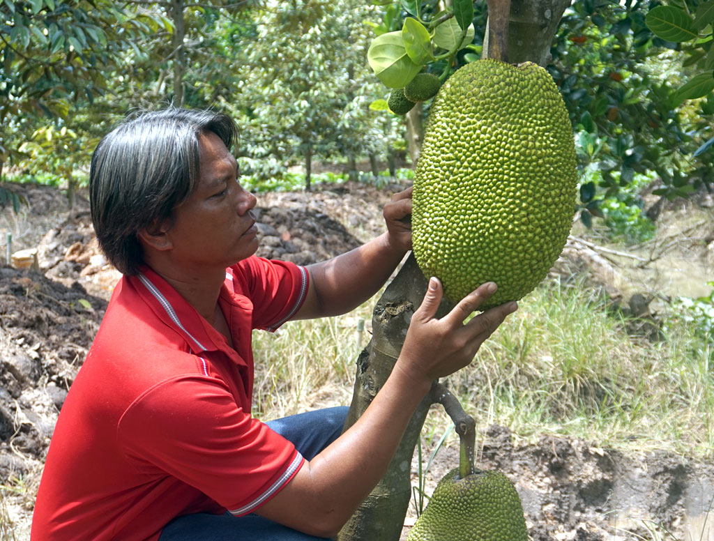 Nâng cao đời sống người dân theo lời dạy của Bác