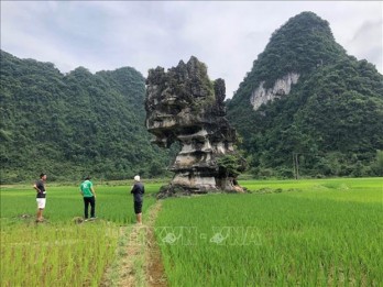 Suggestions made to help optimise values of Global Geopark