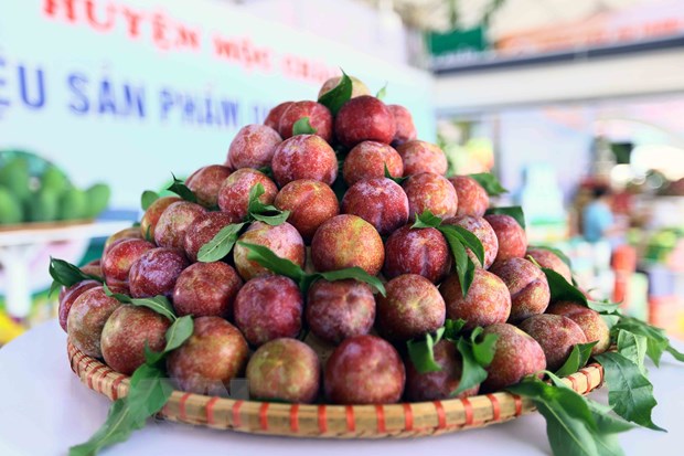Thủ tướng dự khai mạc Festival trái cây và sản phẩm OCOP năm 2022