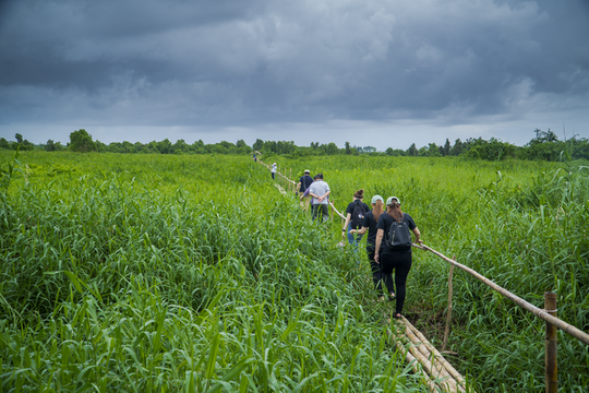 Đến Kiên Giang thăm đất rừng phương Nam