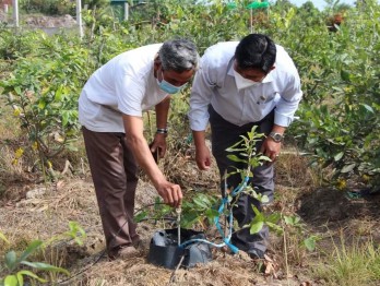 Thủ Thừa: Hiệu quả Đề án phát triển nông nghiệp ứng dụng công nghệ cao trên cây mai vàng
