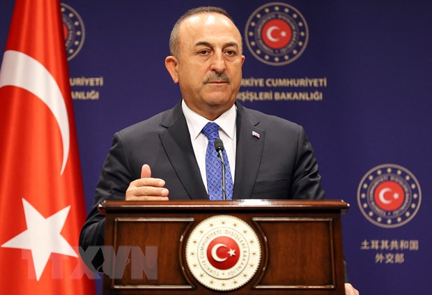 Ngoại trưởng Thổ Nhĩ Kỳ Mevlut Cavusoglu trong cuộc họp báo ở Ankara, ngày 15/6/2022. (Ảnh: AFP/TTXVN)