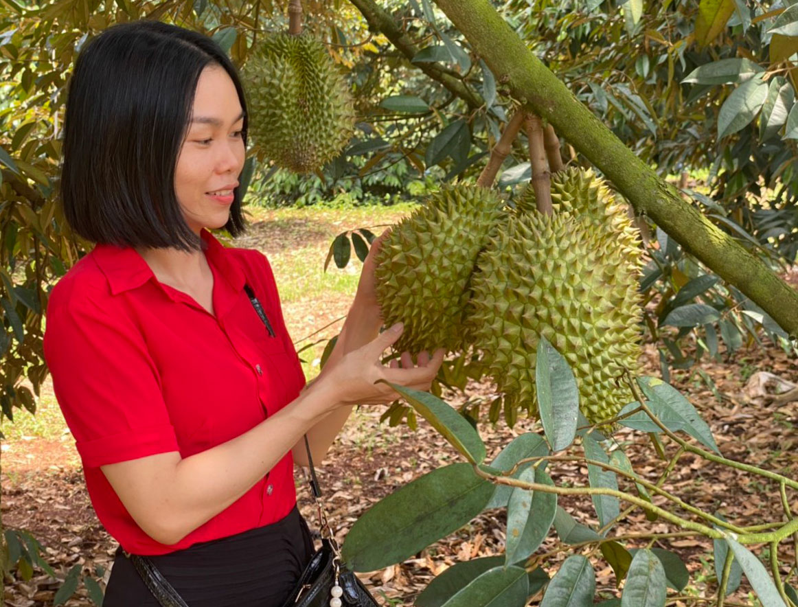 Tân Thạnh: Nhiều tiềm năng kết nối phát triển du lịch