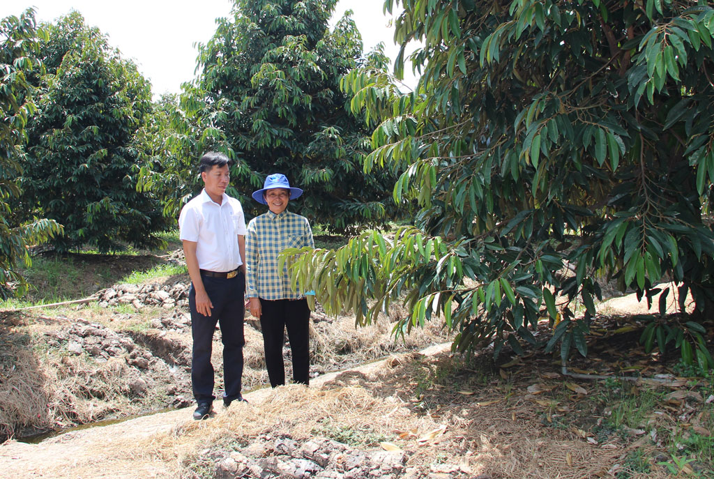 Tân Thạnh: Nhiều tiềm năng kết nối phát triển du lịch