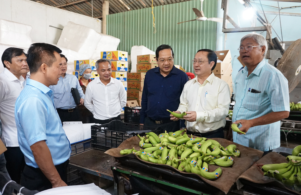 Bộ trưởng Bộ Khoa học và Công nghệ thăm và làm việc với Công ty TNHH Huy Long An – Mỹ Bình