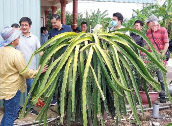 Đoàn công tác Nông nghiệp tiểu vùng Sông Mê Kông khảo sát tại huyện Châu Thành