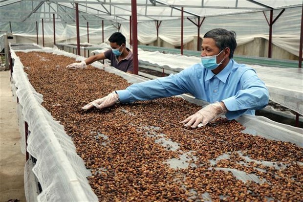 Cooperatives receive support to adopt e-commerce