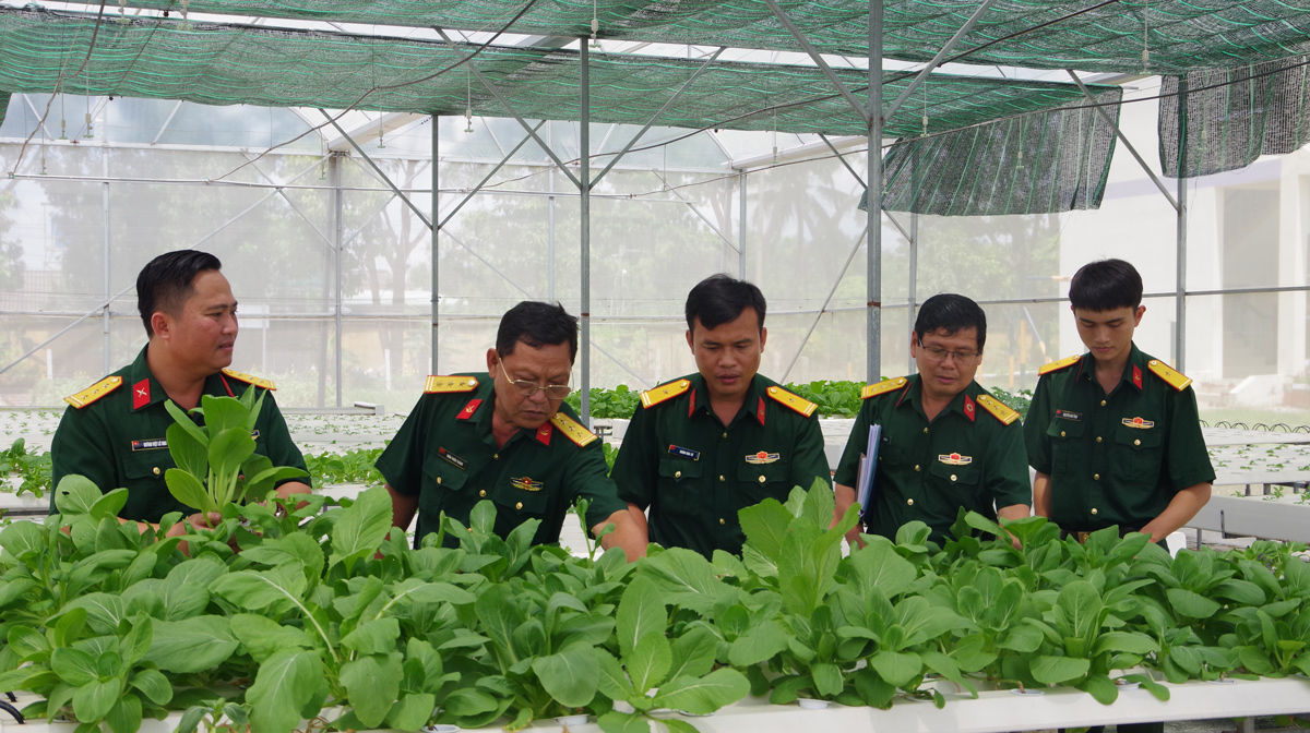 Bộ Chỉ huy Quân sự tỉnh kiểm tra mô hình trồng rau thủy canh của phòng Hậu cần
