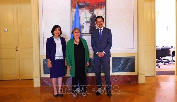Vietnam effectively contributes to dialogue, cooperation within UNHRC