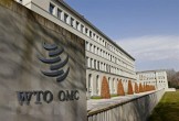 WTO tiếp tục hoãn đưa ra phán quyết về kháng nghị thuế của Mỹ
