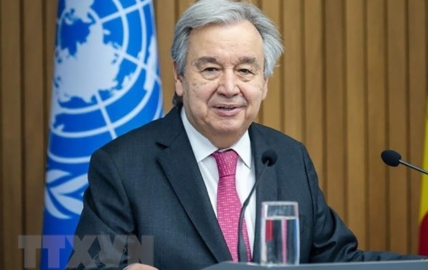 Stronger UN – OIF cooperation needed for SDGs realisation: Ambassador