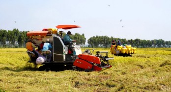 Mộc Hóa thực hiện tốt nhiều chỉ tiêu Nghị quyết Huyện ủy năm 2022 Mộc Hóa thực hiện tốt nhiều chỉ tiêu Nghị quyết Huyện ủy năm 2022