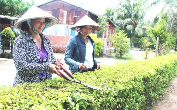 Bình Hiệp: Tập trung nâng chất các tiêu chí nông thôn mới Bình Hiệp: Tập trung nâng chất các tiêu chí nông thôn mới