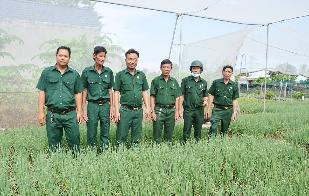 Hội Cựu chiến binh xã Mỹ Lộc tham quan mô hình trồng rau ứng dụng công nghệ cao của hội viên cựu chiến binh xã Phước Lâm