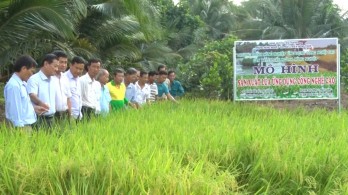 Tân Thành chuyển đổi cây trồng, vật nuôi bước đầu mang lại hiệu quả Tân Thành chuyển đổi cây trồng, vật nuôi bước đầu mang lại hiệu quả