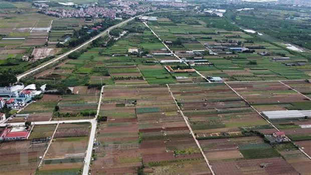 Mở rộng hạn mức nhận chuyển nhượng quyền sử dụng đất nông nghiệp