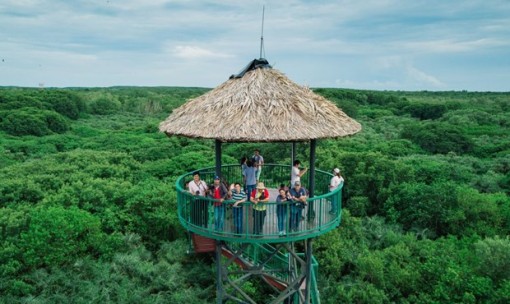 HCM City highlights local cultures to ignite urban tourism HCM City highlights local cultures to ignite urban tourism