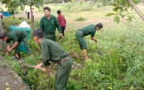 Hội Cựu chiến binh huyện Vĩnh Hưng: Chung sức xây dựng nông thôn mới