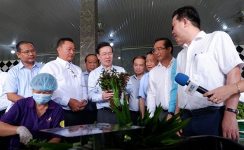 Nhiều lợi ích khi tham gia Chương trình Phát triển nông nghiệp ứng dụng công nghệ cao
