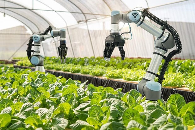 Vietnam accelerating digital transformation in new-style rural building