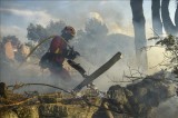 Tây Ban Nha: Cháy rừng dữ dội ở Aragon, hơn 1.500 người phải sơ tán