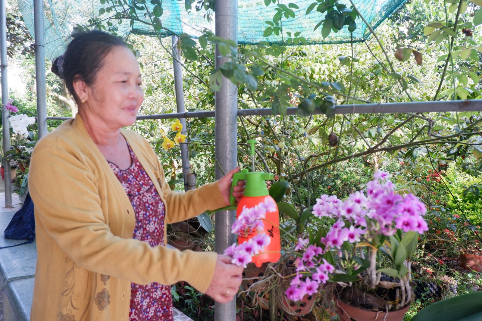 Tân Bình vượt khó đạt chuẩn nông thôn mới
