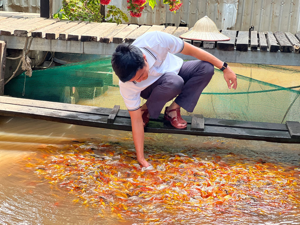 Một ngày ở Cồn Sơn
