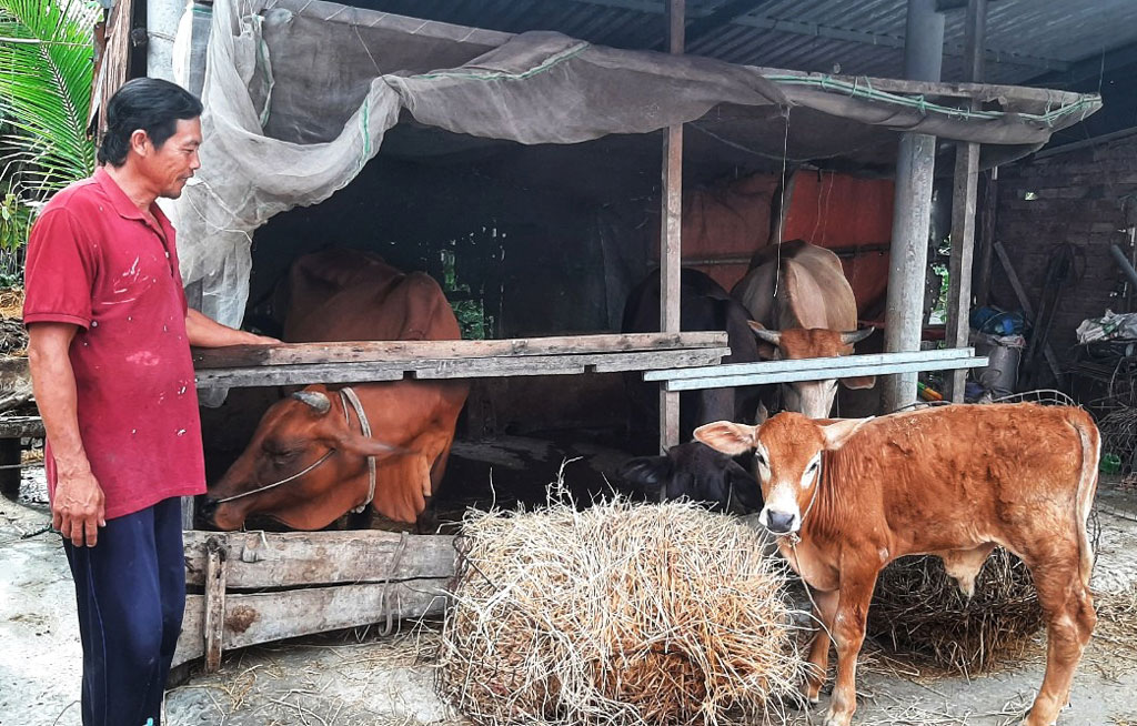 Phát huy vai trò của Mặt trận Tổ quốc trong xây dựng nông thôn mới