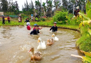 Sẵn sàng cho Tuần Văn hóa - Du lịch