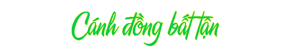 Du lịch mùa nước nổi