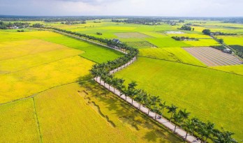 Long An quê hương tôi