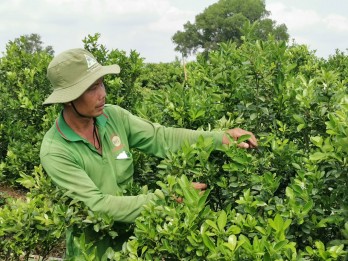 Kiến Tường hoàn thành nhiệm vụ xây dựng nông thôn mới Kiến Tường hoàn thành nhiệm vụ xây dựng nông thôn mới
