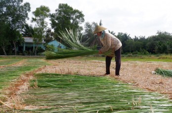 Nâng cao chất lượng đời sống nhờ làm nông