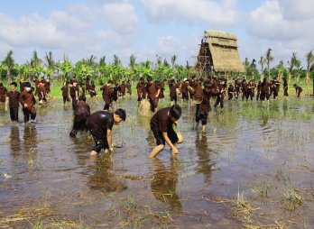 Khai mạc Hội làng trò chơi dân gian và trò chơi tuổi thơ miền quê