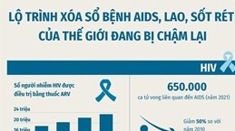Dịch COVID-19 kéo chậm lộ trình xóa sổ bệnh AIDS, lao, sốt rét