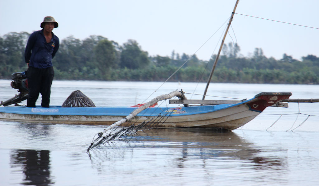 Về Đồng Tháp Mười mùa nước nổi (Bài 1)