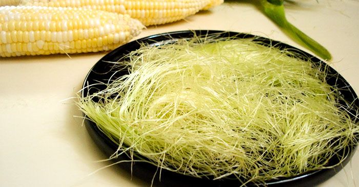 Rau ngổ - Không chỉ là gia vị mà còn là vị thuốc chữa bệnh